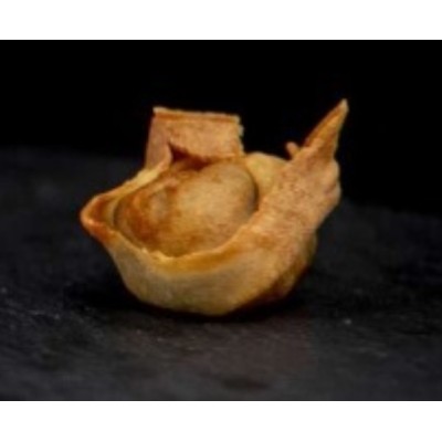 CRUJIENTE POLLO Y YUZU 15*50  |UD|0,750|03