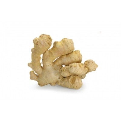 JENGIBRE MOLIDO BOTE 610 G.