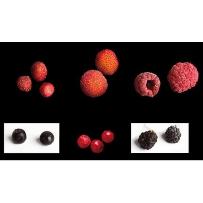 FRUTAS DEL BOSQUE 1 KG. SELEC MARDIS