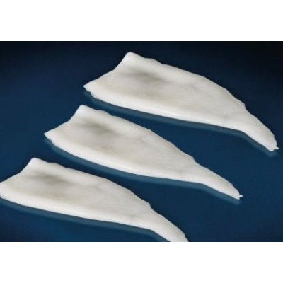 TUBO DE POTA ILLEX 21/24 CM. 5 KG.