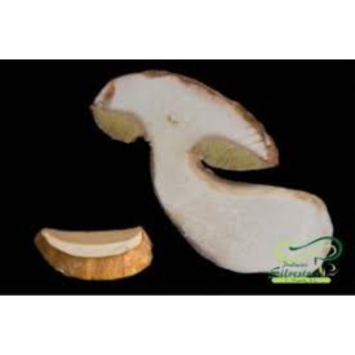 BOLETUS EDULIS LAMINADOS SELEC MARDIS 1 KG.