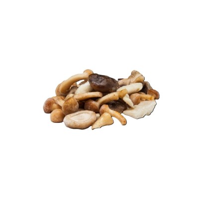 VARIADO DE SETAS CON UN 10% DE BOLETUS EDULIS 1 KG.