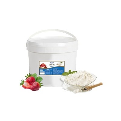 QUESO CREMA ESPECIAL UNTAR CUBO 2,2 KG.
